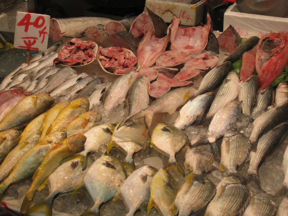 Fish sorted by size on crushed ice.