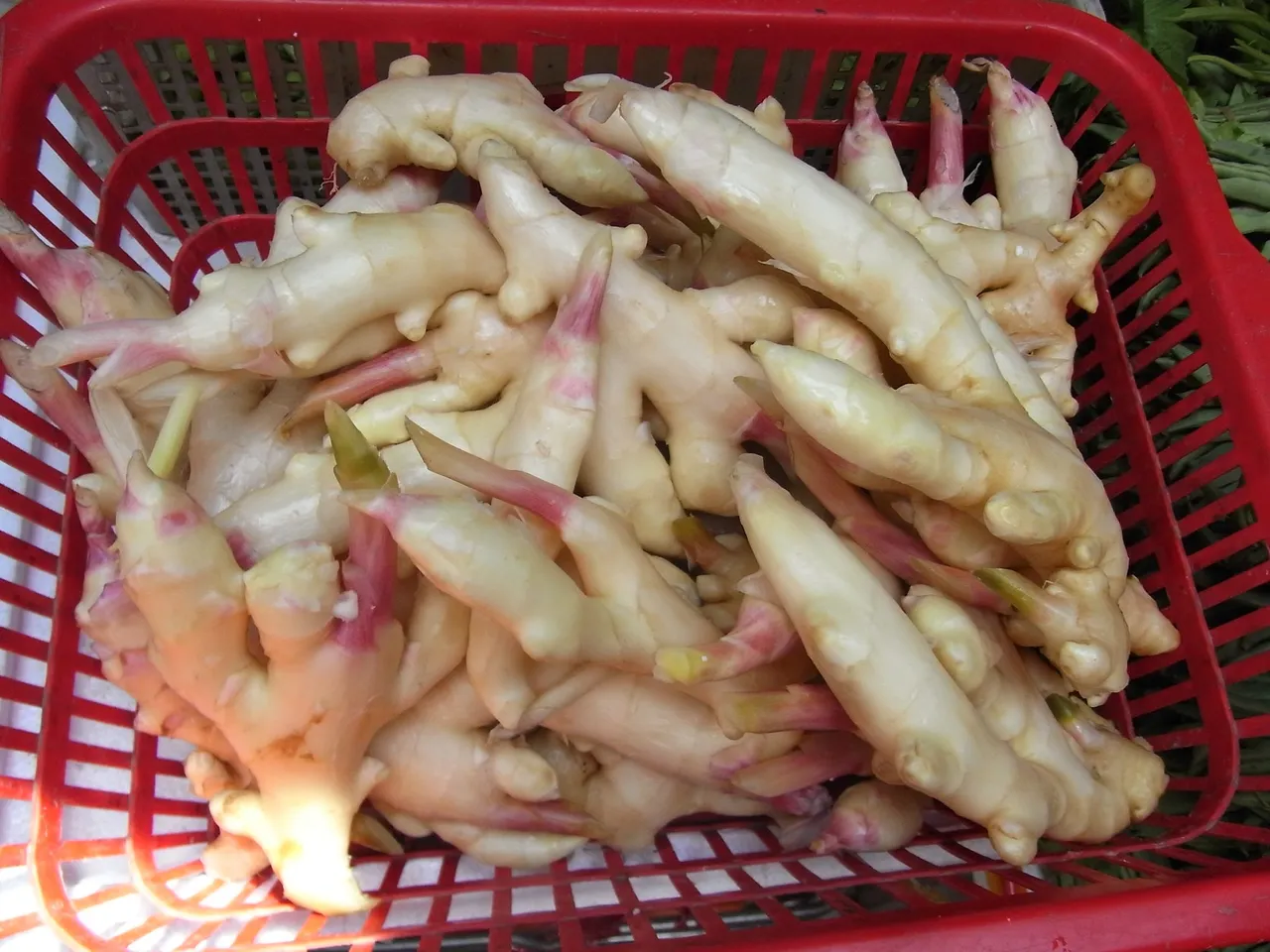 Young ginger, sold by weight from a red basket.