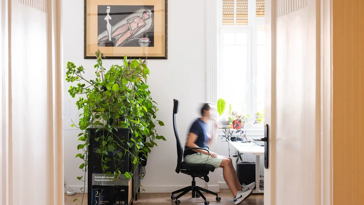 A bright studio room with a plant, a desk and a designer working at a screen