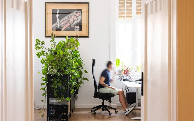 A bright studio room with a plant, a desk and a designer working at a screen